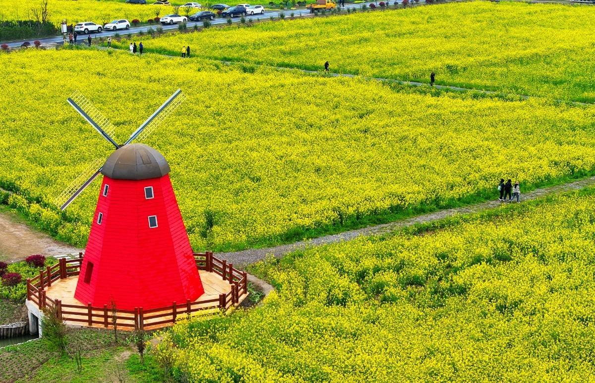 社会责任的 社会责任的