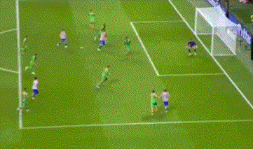 在门前近距 在门前近距